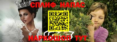 шишки Аргун