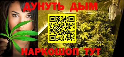 шишки Аргун