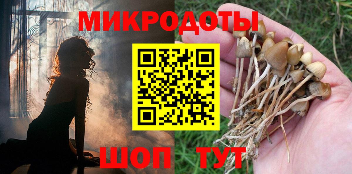Галлюциногенные грибы Magic Shrooms  Бугульма  Псилоцибиновые грибы Magic Shrooms 