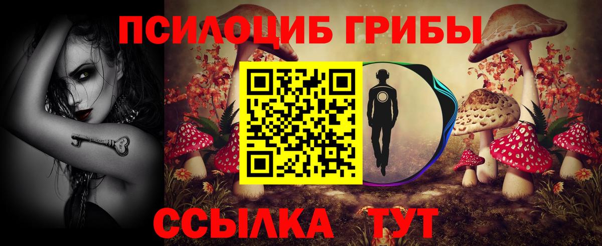 Псилоцибиновые грибы прущие грибы Бугульма