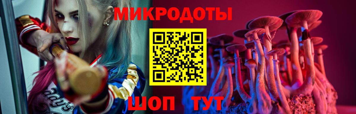 купить наркотик  Галлюциногенные грибы GOLDEN TEACHER  Вход с VPN  Бугульма 